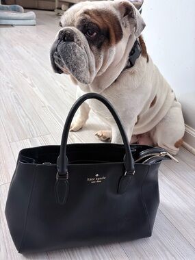 kate spade Black Leather Satchel with Gold Logo-doggie not included 😉